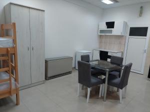 Kuchyň nebo kuchyňský kout v ubytování Apartman Aleksić u samom centru grada