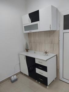 Kuchyň nebo kuchyňský kout v ubytování Apartman Aleksić u samom centru grada