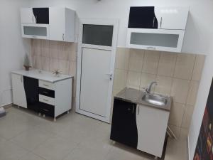 Kuchyň nebo kuchyňský kout v ubytování Apartman Aleksić u samom centru grada