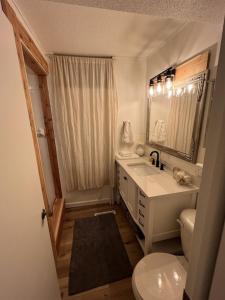 bagno con lavandino, servizi igienici e specchio di Private Lake Cottage - Spacious and Updated ad Annandale