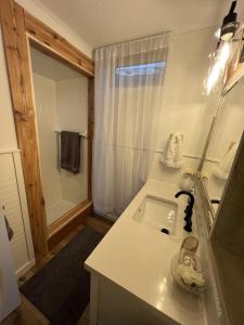 bagno con lavandino bianco e doccia di Private Lake Cottage - Spacious and Updated ad Annandale