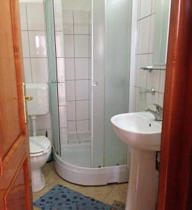 a bathroom with a shower and a toilet and a sink at Motel Buti in Sighetu Marmaţiei