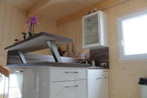 Eldhús eða eldhúskrókur á Klippitzhimmel
