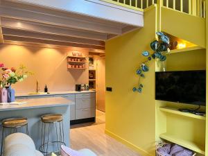 Μια τηλεόραση ή/και κέντρο ψυχαγωγίας στο Suite van Lotte unieke design loft in Dokkum