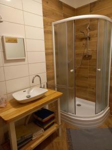 y baño con ducha y lavamanos. en Chalupa U Kravína, en Rtyně v Podkrkonoší