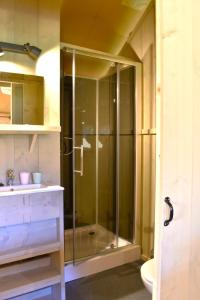 a glass shower in a bathroom with a sink at Klein Koestapel in Putten