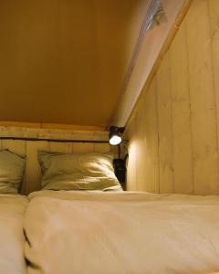 a bedroom with two beds and a light on the wall at Klein Koestapel in Putten