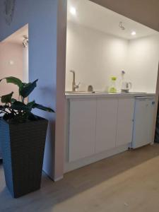 a kitchen with a sink and a potted plant at beautiful located dome in Wapnica