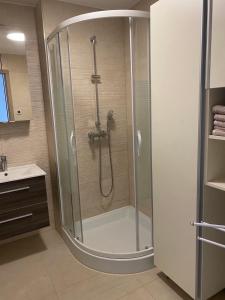バラトンレッレにあるBelu Apartmanのバスルーム(ガラスドア付きのシャワー付)