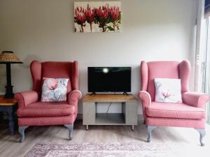 two pink chairs in a living room with a tv at Silverdunes - GardenView in Bettyʼs Bay