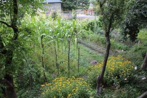 Giardino di Green Corner