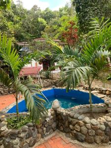 a small pool in a garden with palm trees at Casa Hotel Arcadia Minca in Minca