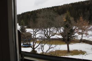 Příroda nedaleko penzionu – hostince
