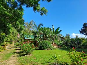a garden with green grass and trees and a house at Terra NaturaMa - off grid living in the jungle in Punta Uva