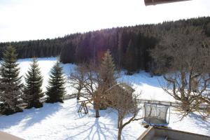 Příroda nedaleko penzionu – hostince