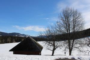 Příroda nedaleko penzionu – hostince