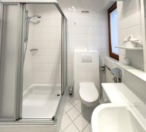 een badkamer met een douche, een toilet en een wastafel bij Landhaus zu Kürenberg in Bergham