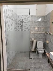 オラデアにあるApartament in vila Secessionのバスルーム(シャワー、トイレ、洗面台付)