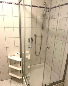 a shower with a glass door in a bathroom at Restaurant San Marco in Ammerndorf