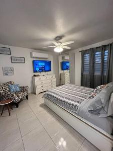 1 dormitorio con 1 cama y ventilador de techo en Playa y Campo Studio, en Isabela