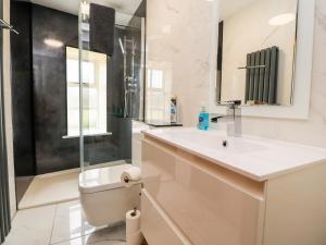 a bathroom with a sink and a toilet and a shower at Hudson in Lancaster