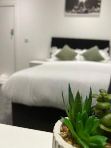 a bedroom with a bed and a potted plant on a table at Regent 28 in Coventry