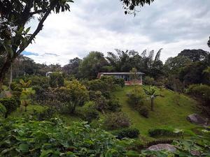 Taman di luar Eco Hotel La Primavera - Cabañas Campestres de Descanso
