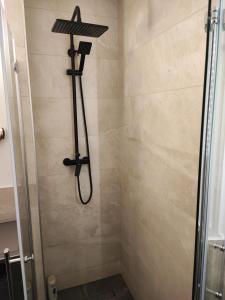 a shower with a shower head in a bathroom at van Art Stucky in Bayreuth