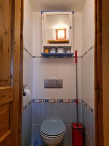 a small bathroom with a toilet and a mirror at MAISON PROCHE PLAGE SUR BASSIN D ARCACHON in Andernos-les-Bains +14 photos