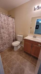 a bathroom with a toilet and a sink and a mirror at King's Camp - SEAWORLD and MEDICAL Center, Yard, BBQ, Garage in San Antonio