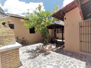 a house with a tree in the courtyard at A Oca Hostel Bar in João Pessoa