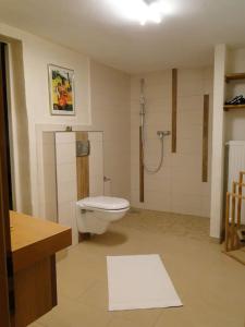 a bathroom with a toilet and a shower in it at Kleine Residenz am Zehnthof in Senheim