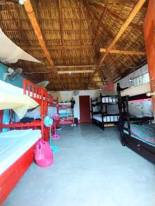 Ce dortoir comprend plusieurs lits superposés. dans l'établissement Bedrooms where Charlie, à El Paredón Buena Vista