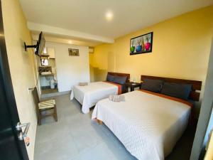 um quarto de hotel com duas camas e uma televisão em HOTELITO SAN IGNACIO em San Ignacio