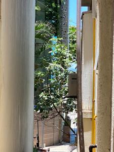 una puerta abierta con vistas a una planta en Quarto frente praia leme, en Río de Janeiro