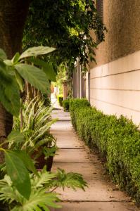 墨西哥城的住宿－Suite 1-A Monasterio Garden House Welcome to San Angel，植物建筑前的人行道
