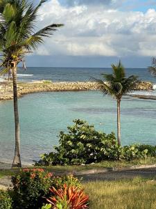 - une plage avec 2 palmiers et l'océan dans l'établissement Kaza Loulou, à Saint-François