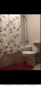 ein Bad mit einem WC und einem Duschvorhang in der Unterkunft Ryan 3 in Fès