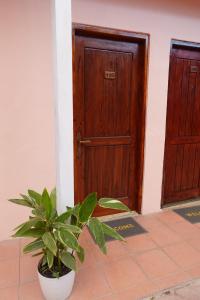 a plant in a pot in front of a door at Sunset INN by Pro-Ema in Dili