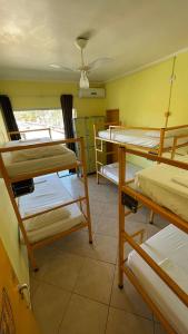 a dorm room with several bunk beds in it at Green Haven Hostel in Ubatuba