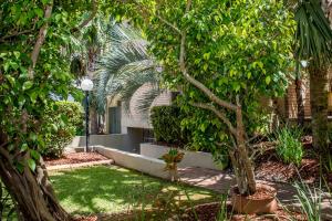 a garden with a tree and a building at Lahaina Apartments in Mooloolaba