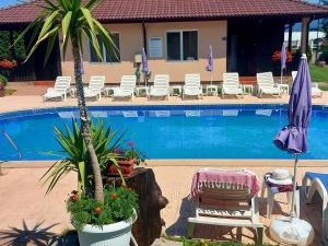 a pool with a palm tree and chairs and a umbrella at Вилен комплекс Дарибел in Sapareva Banya