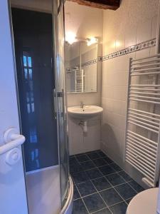 ein Bad mit einem Waschbecken, einer Dusche und einem WC in der Unterkunft Nature et calme in La Chapelle-Saint-Sauveur