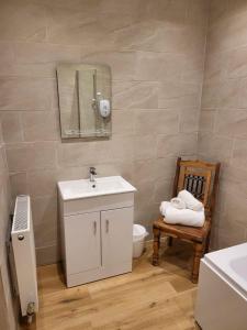 a bathroom with a sink and a toilet and a mirror at The Ancient Briton in Pen-y-cae