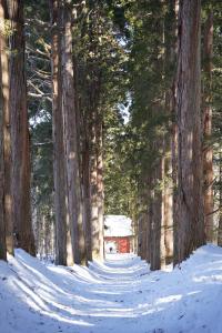 a path through a forest with trees in the snow at björk （森の宿 ビヨルク） in Myoko