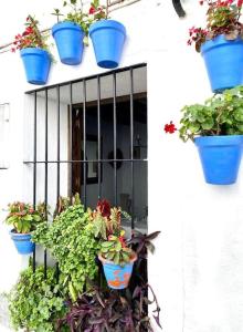 Zahrada ubytování Casa Rural Manantial de las Jaras