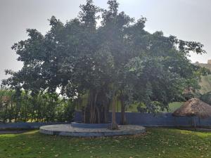 صورة لـ ART Resort & Farm House في مهاباليبورام