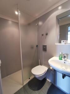 a bathroom with a shower and a toilet and a sink at Europäisches Gäste- und Seminarhaus in Todtmoos