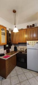 a kitchen with wooden cabinets and a white refrigerator at Villa Maria in Avdélla +57 photos