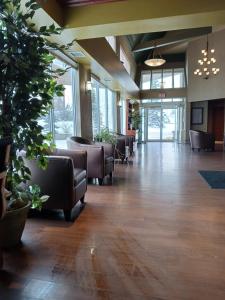 Posezení v ubytování Lakeview Inns & Suites - Hinton